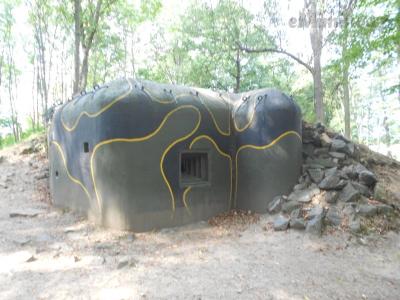 DSCN1213.JPG