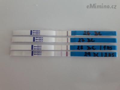 20181003_161717.jpg