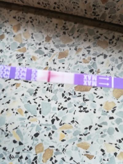 IMG_20181217_102811.jpg