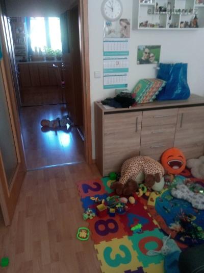IMG_20180917_095009.jpg