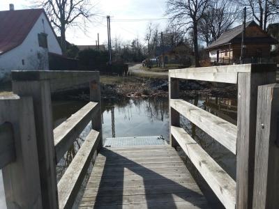 20190317_145051.jpg
