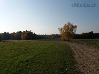 20181017_153802.jpg