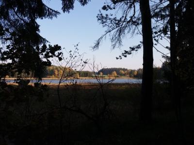 20181017_152411.jpg