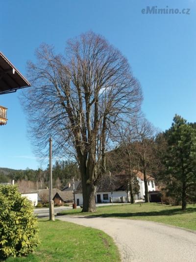 20190401_145613.jpg