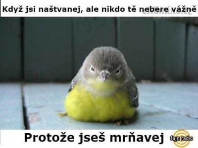 ws.jpg