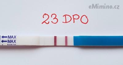 23 DPO.jpg