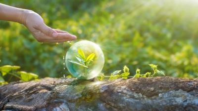 Příroda si zaslouží naši ohleduplnost. Zdroj: PopTika / Shutterstock, Inc.