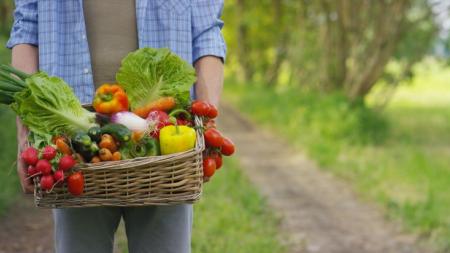 Šetrné ke zdraví: Proč nakupovat EKO, BIO a farmářské potraviny?