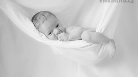 Newborn focení