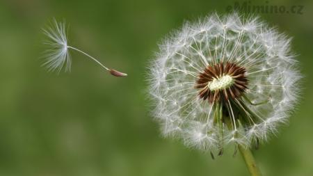 Od smutku doufám ve štěstí
