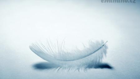 Dlouhá cesta se smutným koncem