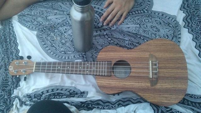 Ukulele song