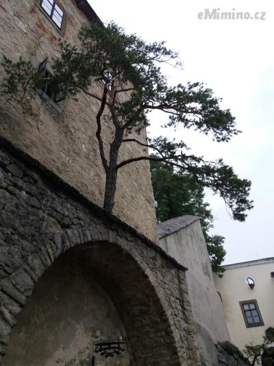 20190713_095915.jpg