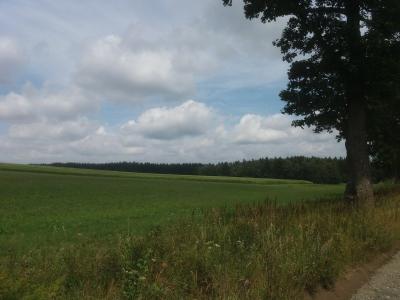20190808_115430.jpg