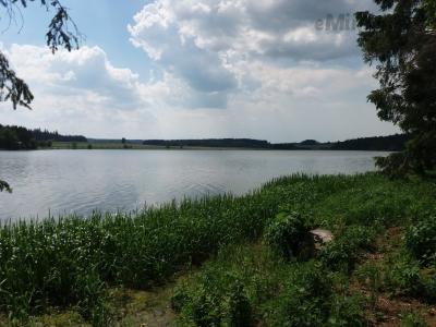 20190605_141935.jpg
