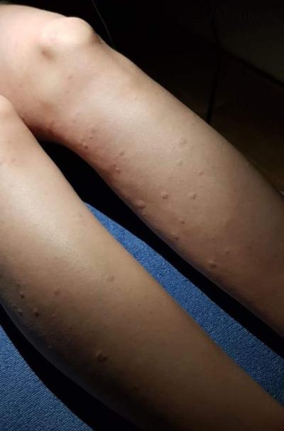 20190722_092211.jpg