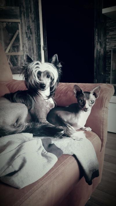 20170503_052824.jpg