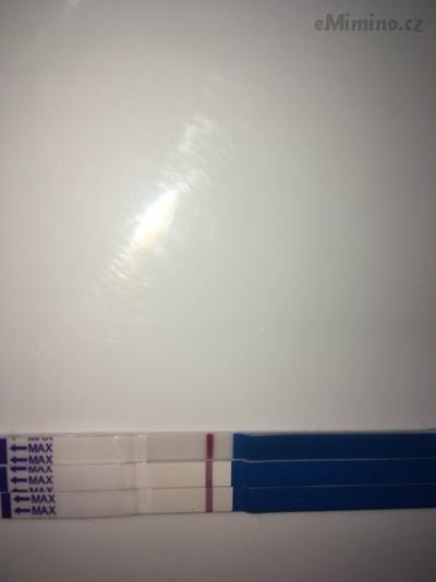 8AAD90A9-8C52-4A5E-ABE3-71B3055CFE51.jpeg