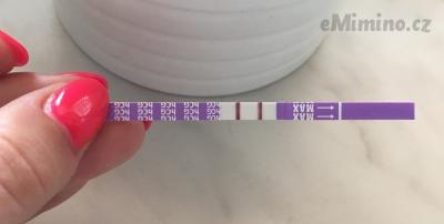 25C4F4DC-18E6-4A79-A86D-D303B0C24B43.jpeg