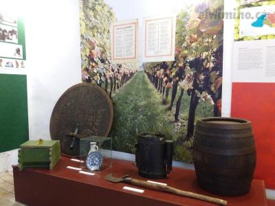 20190915_105451.jpg