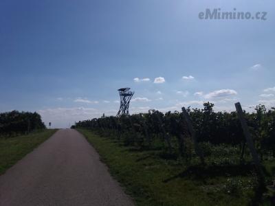 20190912_143211.jpg