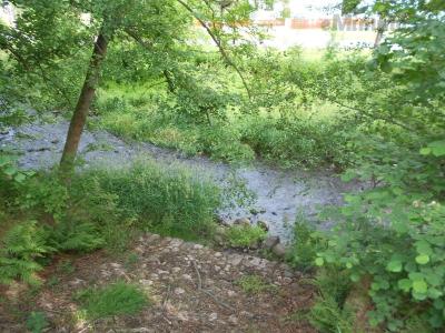 DSCN0127.JPG