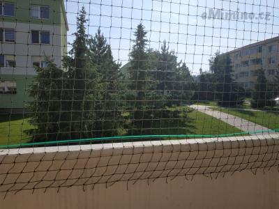 IMG_20190609_171218.jpg