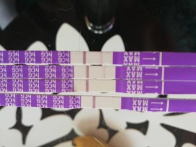IMG_20190626_130327.jpg