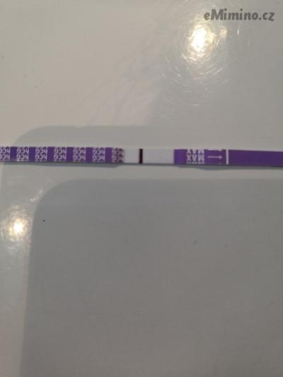 7306677.jpg