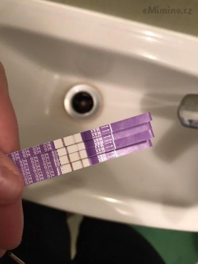 C3D8D638-2044-4F20-924F-A086081F3783.jpeg