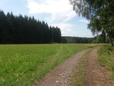 20190808_124450.jpg