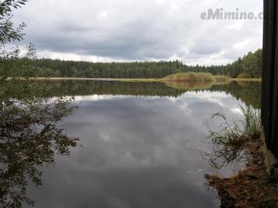 20191004_131404.jpg