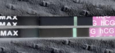 69F7B10E-9F24-4CF8-9245-2D87D73F6527.jpeg