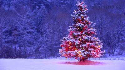 Free-Wallpaper-Christmas-Tree.jpg