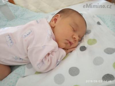 IMG_20190903_144636.jpg