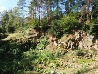 20190811_102755.jpg