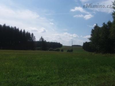 20190808_124809.jpg