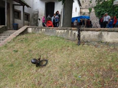 20190713_113002.jpg