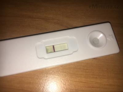 A329E013-9B6B-4CAD-B5D3-67107C1218AC.jpeg