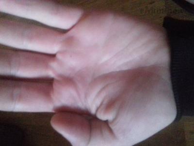20190810_134240.jpg
