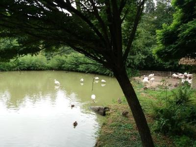 20190712_155706.jpg