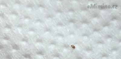 03CA000E-287F-46AB-8BDC-42AD309F927E.jpeg