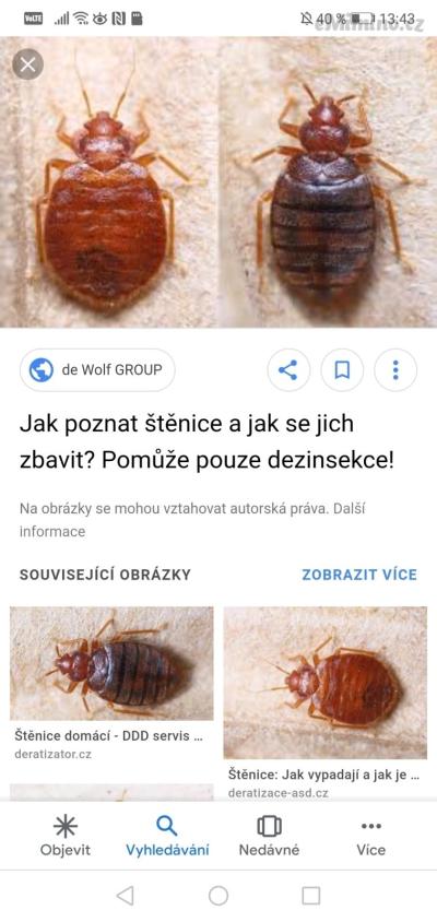 Screenshot_20190804_134356_com.google.android.googlequicksearchbox.jpg