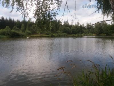 20190808_125646.jpg