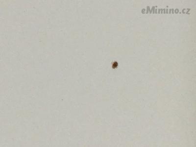 D931275E-F81E-40ED-A096-C33E5B35E045.jpeg