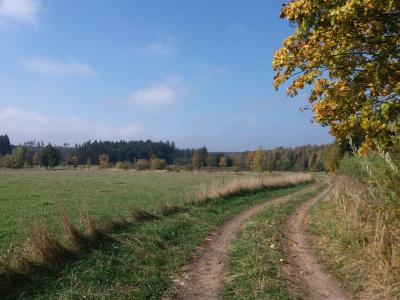 20191014_121619.jpg