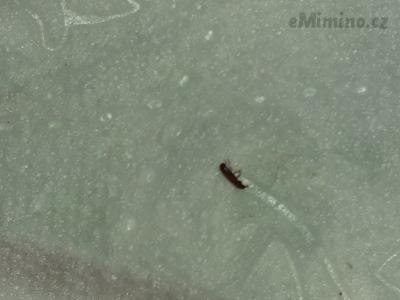 20191104_164330.jpg