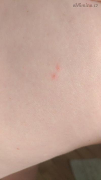 P_20190812_102840_vHDR_Auto.jpg