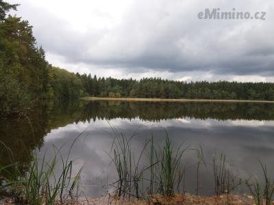 20191004_131453.jpg