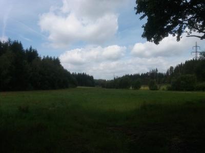 20190808_120331.jpg